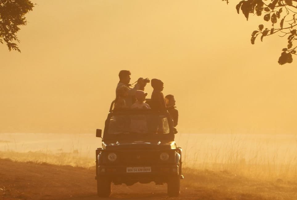 Luxury Chitwan Safari: Tiger Tops, Barahi, or Meghauli Serai?