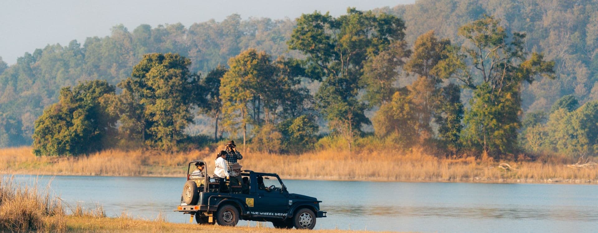 Luxury Chitwan Wildlife Safari: What It Takes to Actually See a Tiger